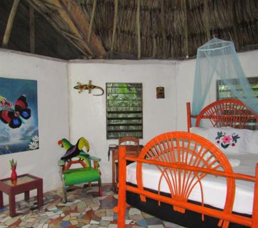 Macaw Bank Jungle Lodge