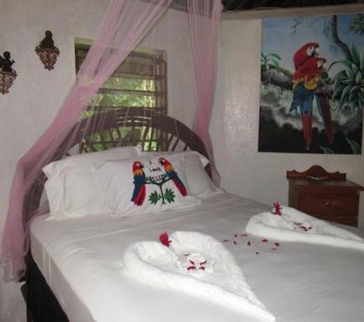 Macaw Bank Jungle Lodge