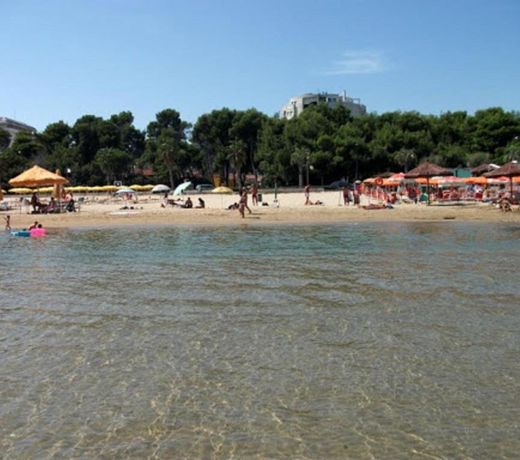 Un Nido Sul Mare