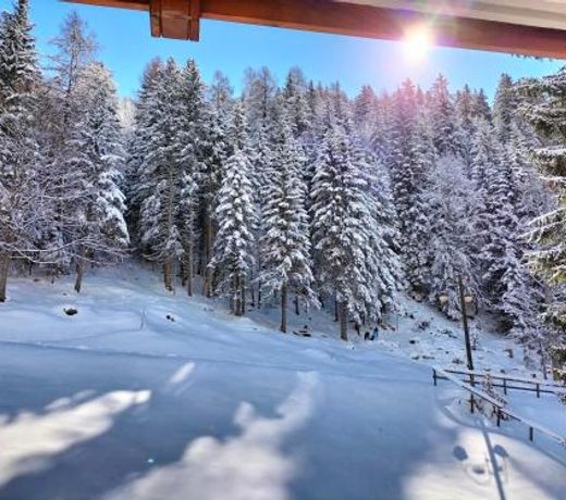 Appartamento Campiglio
