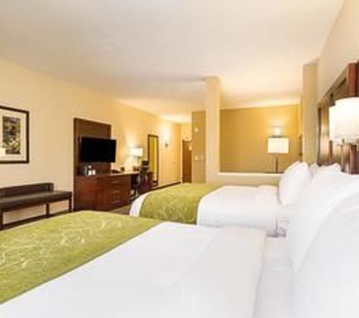 Comfort Suites Greenville South