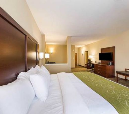 Comfort Suites Greenville South