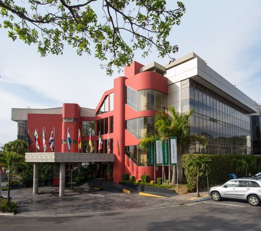 Hotel Palma Real