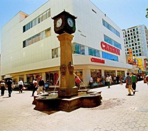 Hotel Quinta Avenida