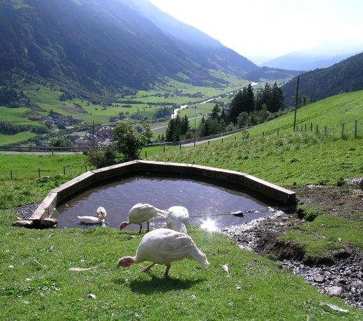 Joglerhof