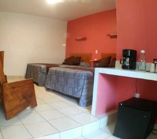 Hotel Los Ciruelos