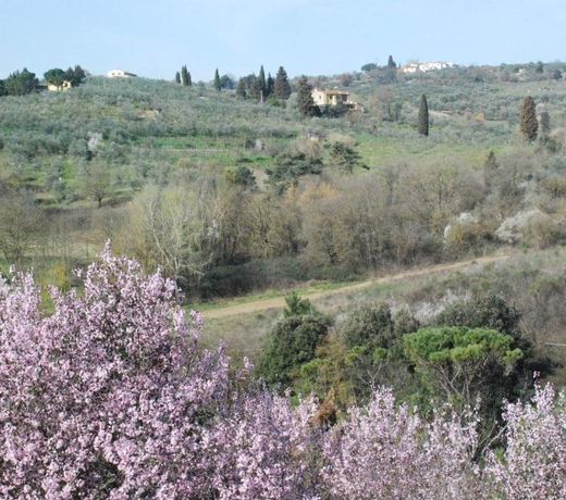 Gli Oleandri di Belfiore