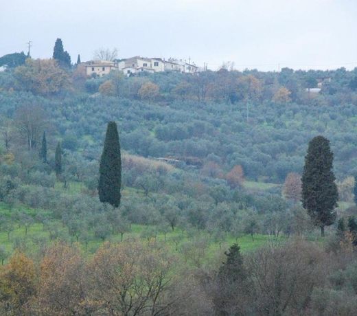 Gli Oleandri di Belfiore