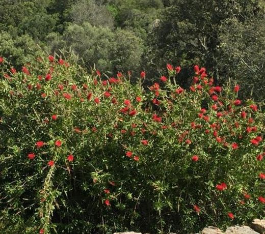 Podere Spartaco San Pantaleo