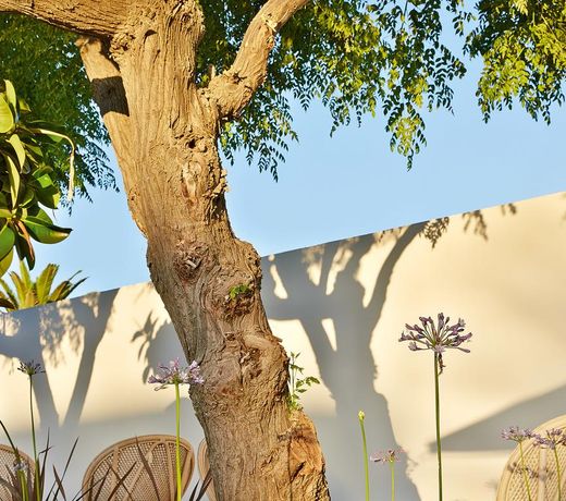 Caramel Grecotel Boutique Resort