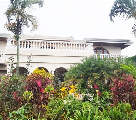 Buena Vista Chic Hotel
