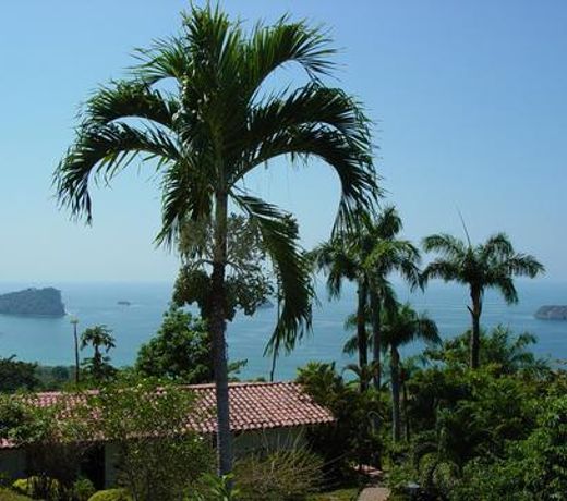 Hotel La Mariposa