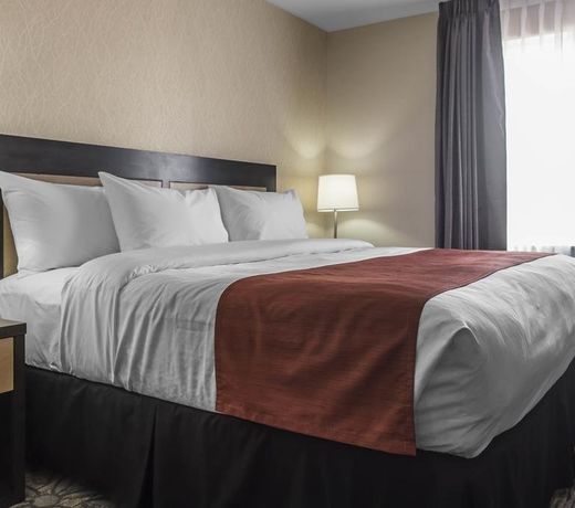 Quality Inn & Suites Kingston