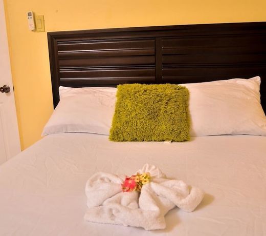Kingston Sunset Guest Apartment I
