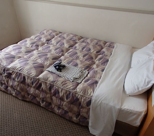 Hotel Shinsuien