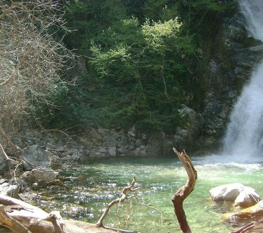 La Baronessa