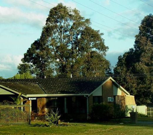 Eden Golf View Motel