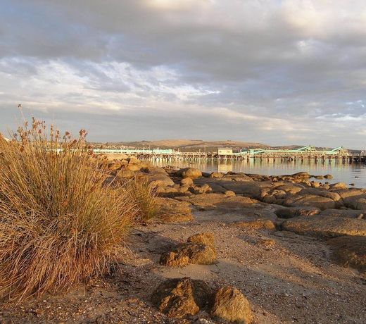 Port Lincoln Holiday Houses