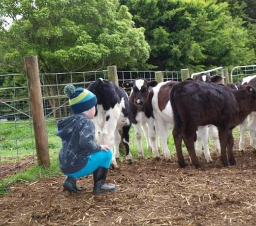 Manderley Park Farmstay B&B