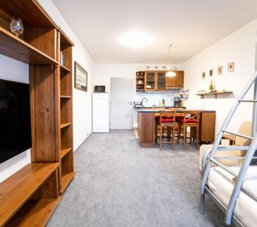 Apartmán Harrachov 608