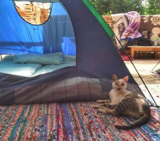Charlie House Dahab Campground