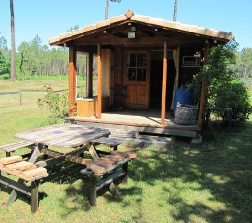 Gite foret landaise