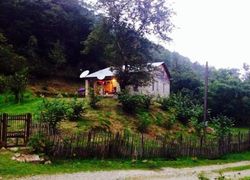 Guest House Nina, регион , город Кобулети - Фотография отеля №1