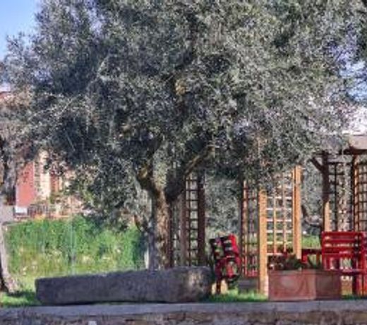Agriturismo Il Pintello