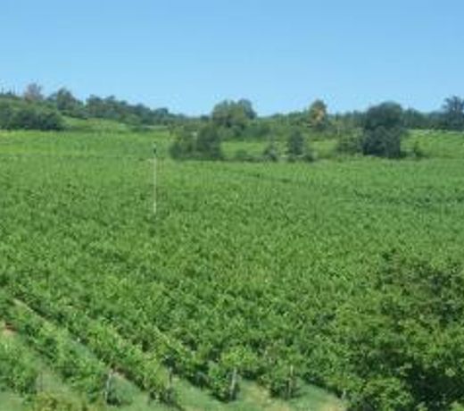 Podere Greve Chianti