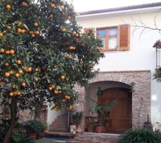 L'arancio Antico