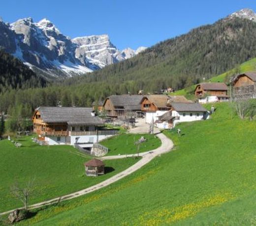 Agriturismo Luch de Vanc