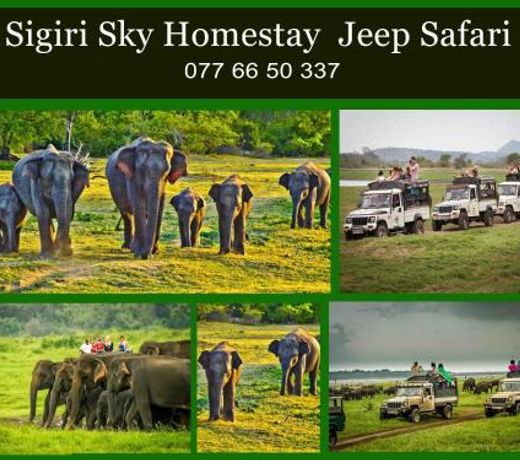Sigiri Sky Home & Tree House