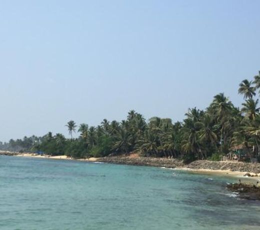 Surf reef guest house