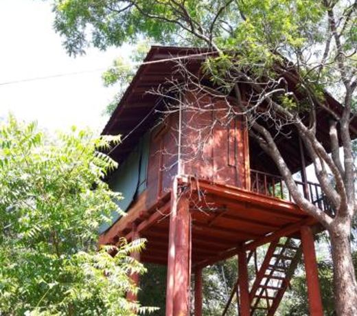 Dambulla Tree House