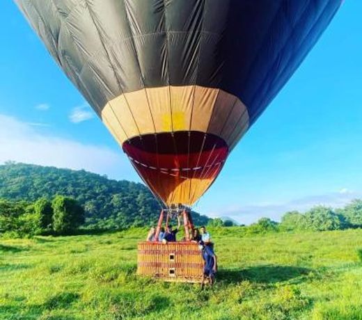 Dambulla Tree House