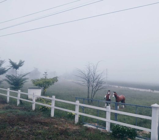 Santitham Farm Stay