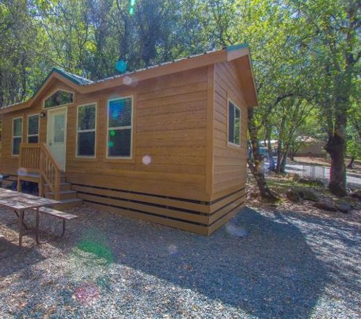 Ponderosa Camping Resort One-Bedroom Cabin 4