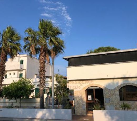 Tiglio Vieste