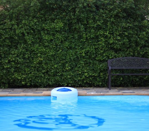 Topaas Resort And Swimmimg Pool