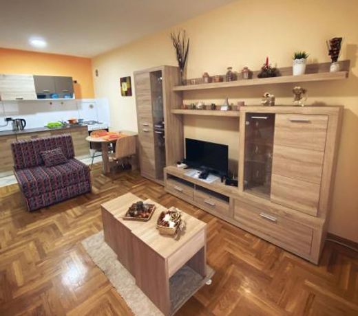 Apartment Vas Raj