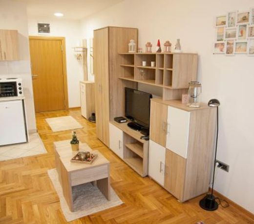 Apartment Vas Raj