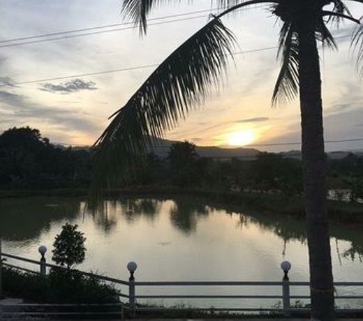 Wichuda Fishing Park & Homestay