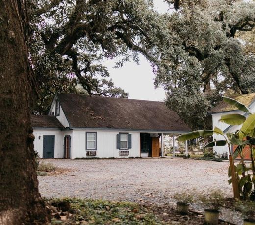 Mouton Plantation