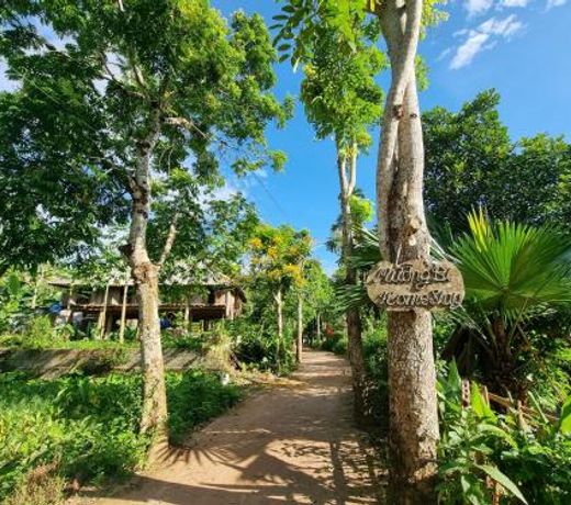 Muong Bi Homestay