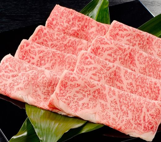 Ureshino Onsen Taishouya Yushuku Seiryuu