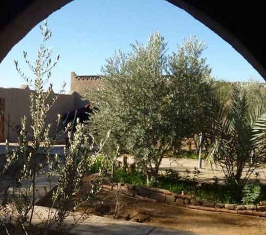 Auberge Camping La Liberté
