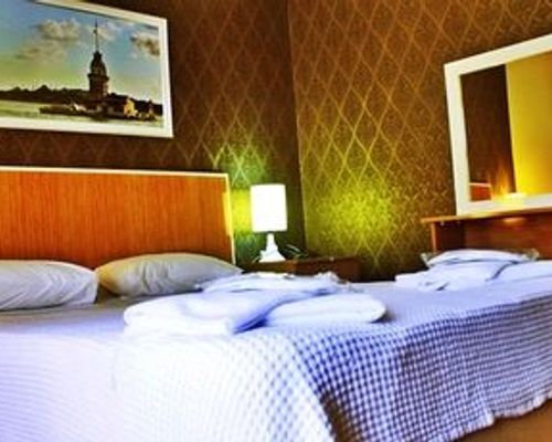 Oz Cinar Hotel - Пендик - фото 2