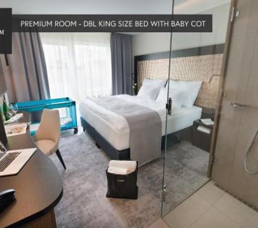 PREMIUM Wellness & Wine Hotel Znojmo