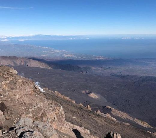 L'Agrifoglio Dell'Etna