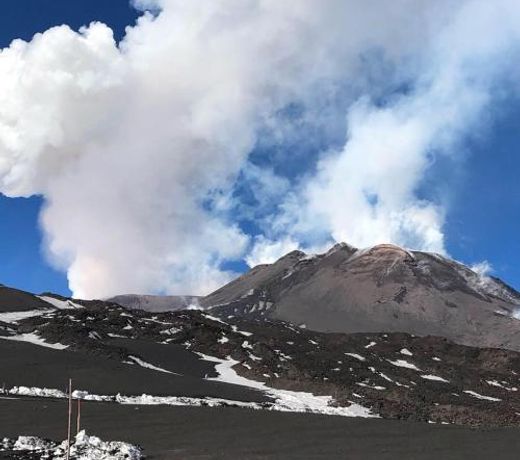 L'Agrifoglio Dell'Etna